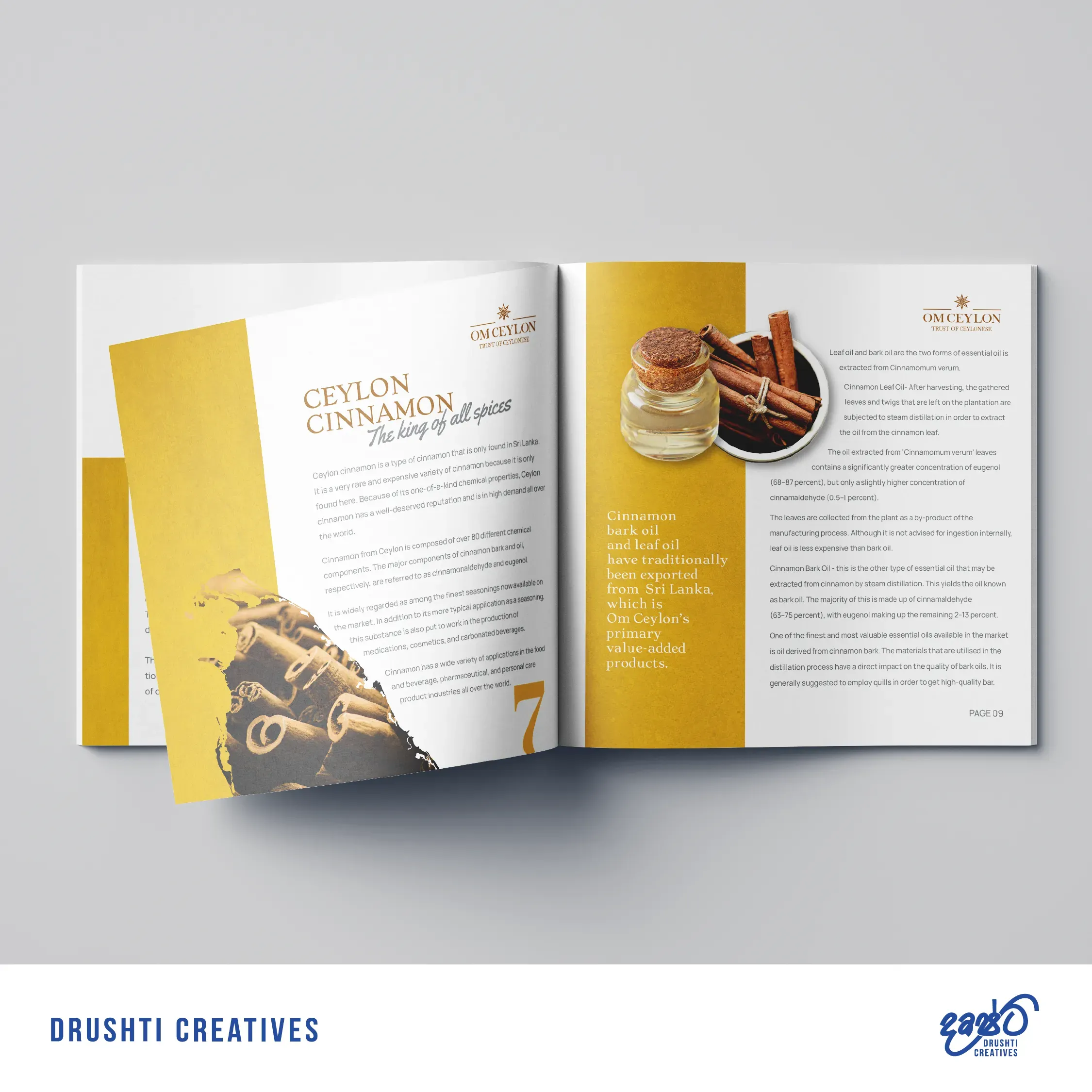 OM Ceylon Company Profile Design gallery 2